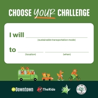 Choose Your Challenge form with fill in the blank sentence. 